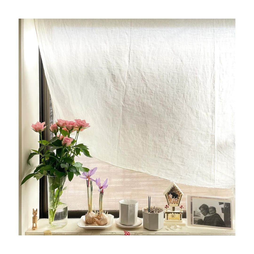 井山三希子のインスタグラム：「・ 早朝窯を切り もう一度ベッドへは行かず 風呂に入り無理矢理目を覚す  サフランの花が繊細で可愛い」
