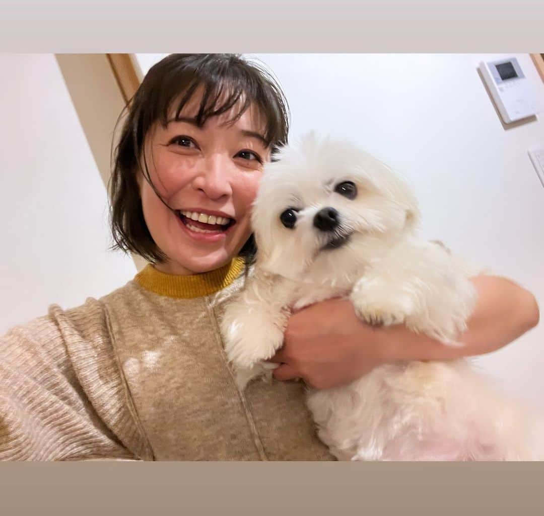 小野真弓のインスタグラム：「おはようございます🥱 顔がまんまる親子です🐏🙋‍♀️🌝😆  おかーさんが、ただいま〜🚪🙋‍♀️で、 一斉にハナハルアオナナ、玄関に大集合😍 ハナちゃんも玄関まで来れる日は、元気の証🦝💖👍 散らかってるのは、、ご愛嬌ということで、、😝 お泊まりしてくれてた、じいちゃん撮📷✨  くーちゃん&マリ様も 玄関には来れないけど 2人の部屋で、おかえり〜って、走ってきてくれます😢💖  みんな可愛い🥺たまらん瞬間🤤💘 今日もみんなで仲良く よろしくお願いします🐾🏠  風邪とか、熱とか、ダウンしている人がちらほら。。 お体ご自愛くださいね🧣♨️  今日も、良い一日を^ ^🍀  #犬と猫のいる暮らし#犬猫日記 #家族みんなで#お灸#お灸ブーム到来中 #かーさん頑張って働きます」