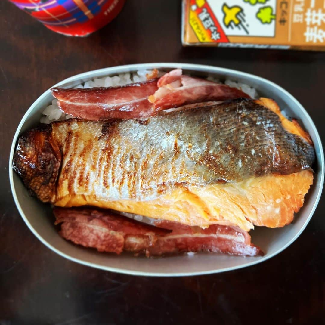 萩野志保子さんのインスタグラム写真 - (萩野志保子Instagram)「きょうは鮭弁当🐟 寝坊したらこちら様🙏と決めていた救世主に頼りました🦸 塩麹漬焼き。 2尾入りなので、もう1尾は大人用おにぎりに👹🍙 鬼握りではありません。 #鮭弁当 #息子弁当 #坊弁当 #おにぎり #鬼にぎり #👹❤️  #今日も声仕事スタート #こーえ出していこー📣  #今日も元気にいってらっしゃい  #母も #行ってきます #小学生 #お弁当  #アナウンサー #萩野志保子」11月30日 8時06分 - shihoko_hagino