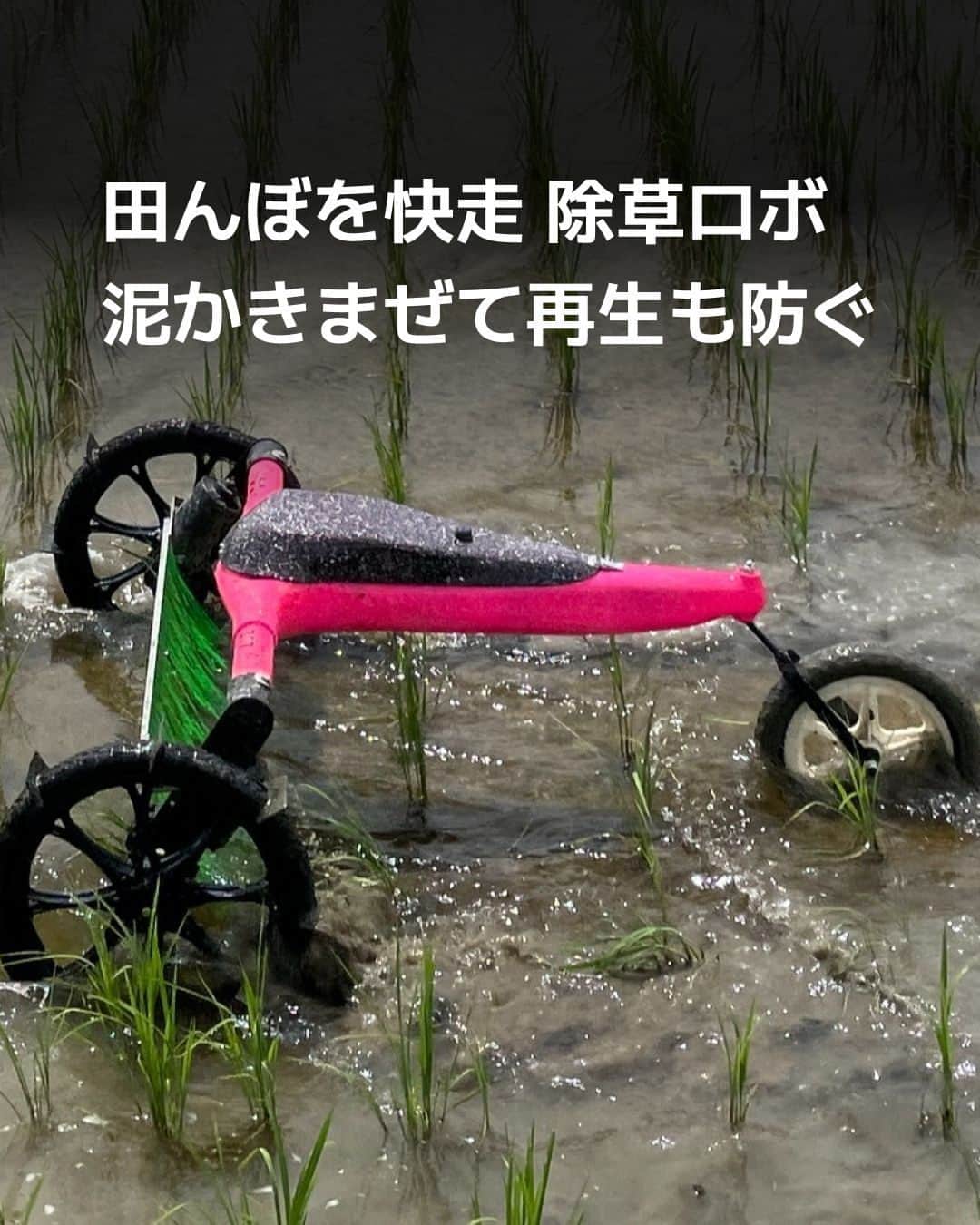 日本経済新聞社のインスタグラム：「農業スタートアップのハタケホットケ（長野県塩尻市）が、水田向けの除草ロボット「ミズニゴール」のレンタル実績を伸ばしています。⁠ ⁠ 詳細はプロフィールの linkin.bio/nikkei をタップ。⁠ 投稿一覧からコンテンツをご覧になれます。⁠→⁠@nikkei⁠ ⁠ #日経電子版 #ハタケホットケ #農業」