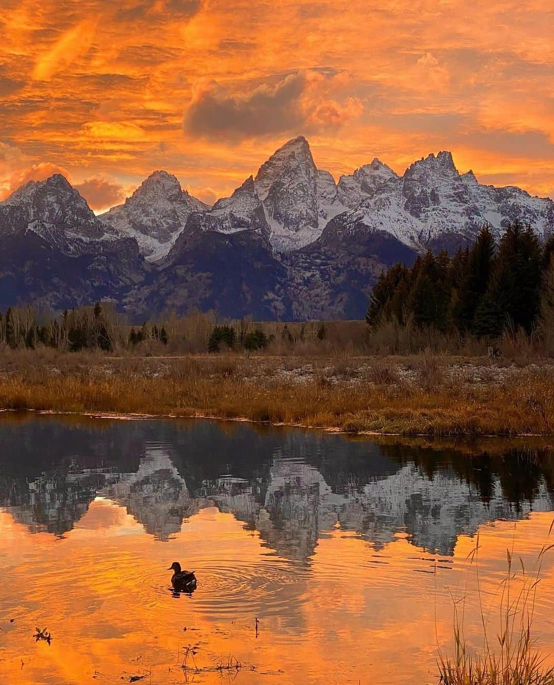 ニッキー・シックスのインスタグラム：「Eye 🍭—- Wyoming」