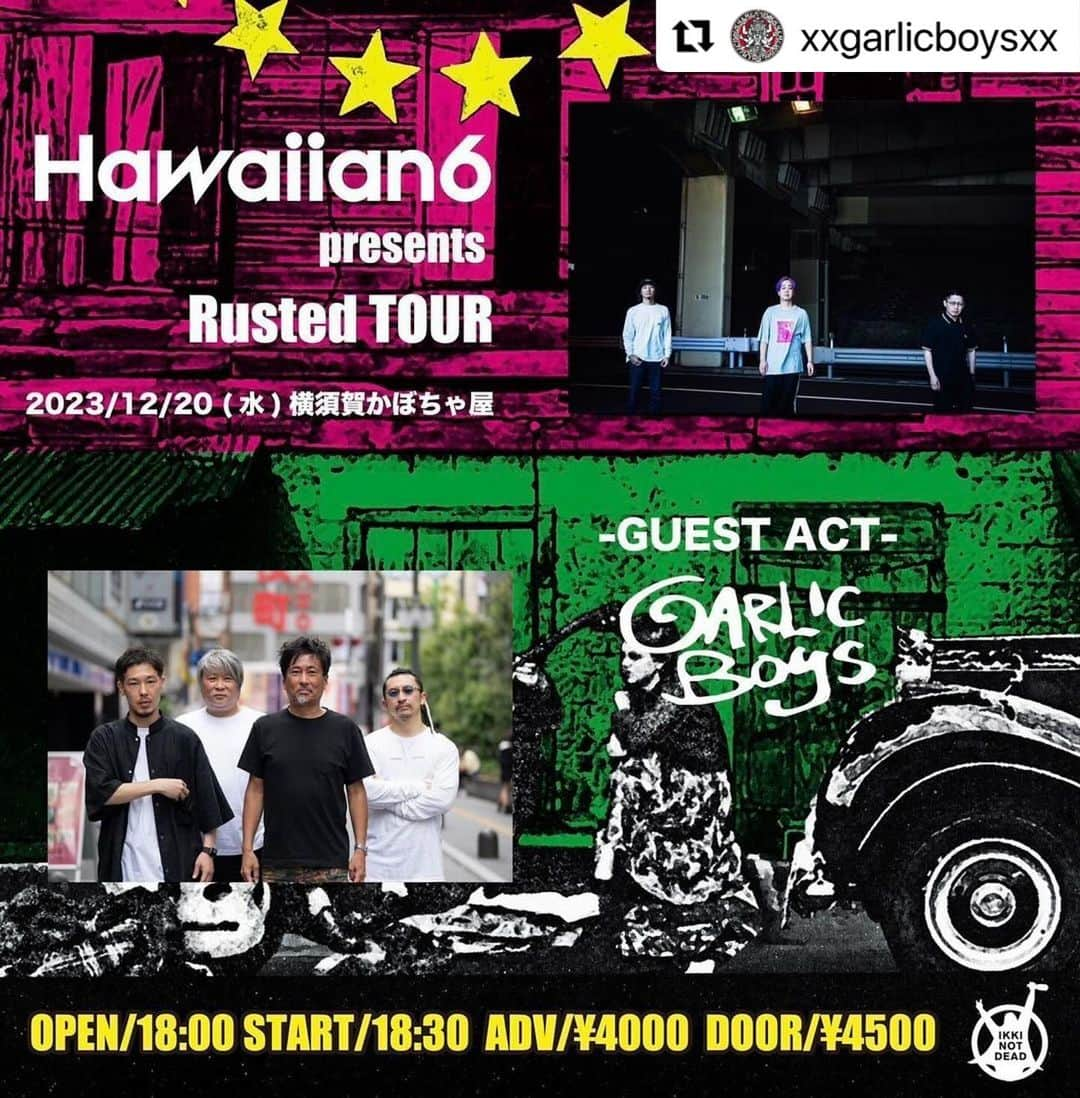 Larry のインスタグラム：「#Repost @xxgarlicboysxx with @use.repost ・・・ GARLICBOYS 2023年を締めくくる最後のライブは、HAWAIIAN6のツアー横須賀編にお邪魔します！  2023.12.20 Wed HAWAIIAN6 presents Rusted TOUR  at 横須賀かぼちゃ屋  HAWAIIAN6 GARLICBOYS  open 18:00 / start 18:30 adv ¥4000 / door ¥4500  #hawaiian6 #ikkinotdead #garlicboys」