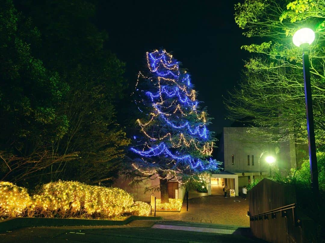 Meiji Gakuin/明治学院大学/明学さんのインスタグラム写真 - (Meiji Gakuin/明治学院大学/明学Instagram)「今日で11月も終わります🌰  11月を振り返ってみました。 ぜひスワイプしてご覧ください👉  イベントが盛りだくさんの1ヵ月☺️ 皆さんはどんな11月を過ごしましたか？  2023年も残すところ1ヵ月です。  #明治学院大学 #白金キャンパス #横浜キャンパス #白金 #戸塚 #横浜 #明学 #明治学院 #勉強 #大学 #授業 #明学生 #メイガク #明学ライフ #大学生活  #秋学期 #秋学期もがんばろう #2023年もあと少し #meijigakuinuniversity #meijigakuin #meigaku #university #photography #photographer」11月30日 15時00分 - mguniv