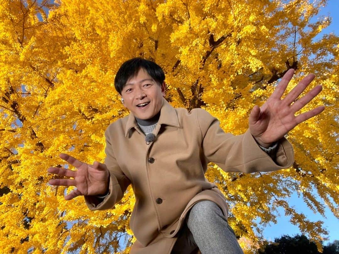 依田司さんのインスタグラム写真 - (依田司Instagram)「11月30日(木) 栃木県足利市「鑁阿寺」の境内では、大イチョウの黄葉がピークを迎えています。 樹齢およそ6５0年、高さ３０ｍ、幹の太さは１０ｍもあり、県の天然記念物に登録されています。 今年は異例の暖かさで、見頃が例年より半月ほど遅かったそう。 この敷地は室町幕府の将軍家の祖にあたる、「足利氏」の邸宅があった場所。そのため、お堀や土塁があるなど、当時の武家屋敷としての面影が色濃く残る、珍しい寺院ですイチョウの葉っぱを散りばめた可愛らしい御朱印と珍しい御城印もゲットしたいですね。  #鑁阿寺 #GAP #ギャップ #依田さん #依田司 #お天気検定 #テレビ朝日 #グッドモーニング #気象予報士 #お天気キャスター #japan #japantrip #japantravel #unknownjapan #japanAdventure #japanlife #lifeinjapan #instagramjapan #instajapan #療癒 #ilovejapan #weather #weathercaster #weatherforecast」11月30日 8時36分 - tsukasa_yoda