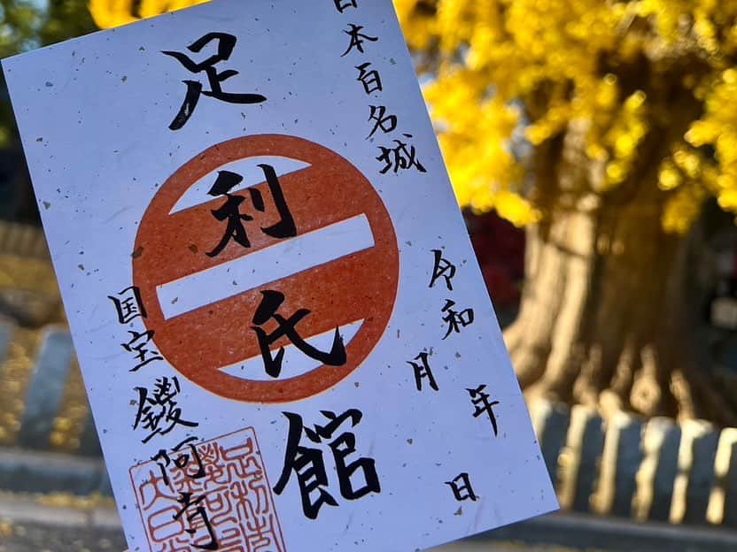 依田司さんのインスタグラム写真 - (依田司Instagram)「11月30日(木) 栃木県足利市「鑁阿寺」の境内では、大イチョウの黄葉がピークを迎えています。 樹齢およそ6５0年、高さ３０ｍ、幹の太さは１０ｍもあり、県の天然記念物に登録されています。 今年は異例の暖かさで、見頃が例年より半月ほど遅かったそう。 この敷地は室町幕府の将軍家の祖にあたる、「足利氏」の邸宅があった場所。そのため、お堀や土塁があるなど、当時の武家屋敷としての面影が色濃く残る、珍しい寺院ですイチョウの葉っぱを散りばめた可愛らしい御朱印と珍しい御城印もゲットしたいですね。  #鑁阿寺 #GAP #ギャップ #依田さん #依田司 #お天気検定 #テレビ朝日 #グッドモーニング #気象予報士 #お天気キャスター #japan #japantrip #japantravel #unknownjapan #japanAdventure #japanlife #lifeinjapan #instagramjapan #instajapan #療癒 #ilovejapan #weather #weathercaster #weatherforecast」11月30日 8時36分 - tsukasa_yoda