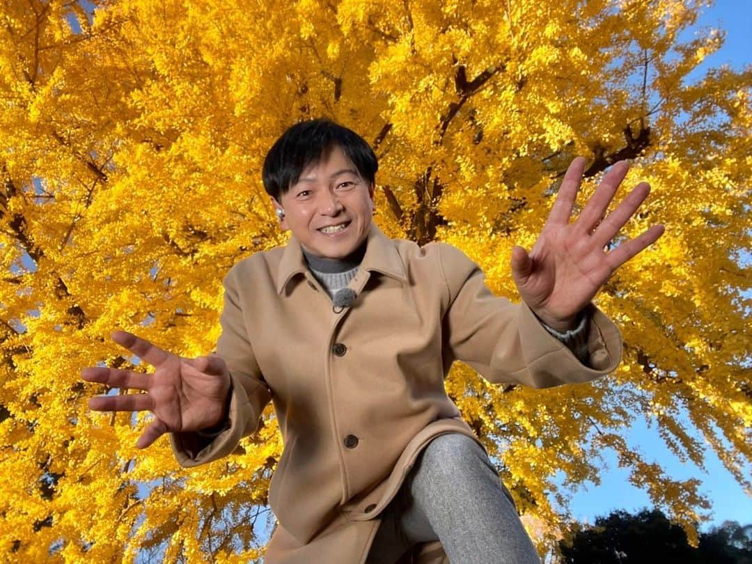 依田司さんのインスタグラム写真 - (依田司Instagram)「11月30日(木) 栃木県足利市「鑁阿寺」の境内では、大イチョウの黄葉がピークを迎えています。 樹齢およそ6５0年、高さ３０ｍ、幹の太さは１０ｍもあり、県の天然記念物に登録されています。 今年は異例の暖かさで、見頃が例年より半月ほど遅かったそう。 この敷地は室町幕府の将軍家の祖にあたる、「足利氏」の邸宅があった場所。そのため、お堀や土塁があるなど、当時の武家屋敷としての面影が色濃く残る、珍しい寺院ですイチョウの葉っぱを散りばめた可愛らしい御朱印と珍しい御城印もゲットしたいですね。  #鑁阿寺 #GAP #ギャップ #依田さん #依田司 #お天気検定 #テレビ朝日 #グッドモーニング #気象予報士 #お天気キャスター #japan #japantrip #japantravel #unknownjapan #japanAdventure #japanlife #lifeinjapan #instagramjapan #instajapan #療癒 #ilovejapan #weather #weathercaster #weatherforecast」11月30日 8時36分 - tsukasa_yoda