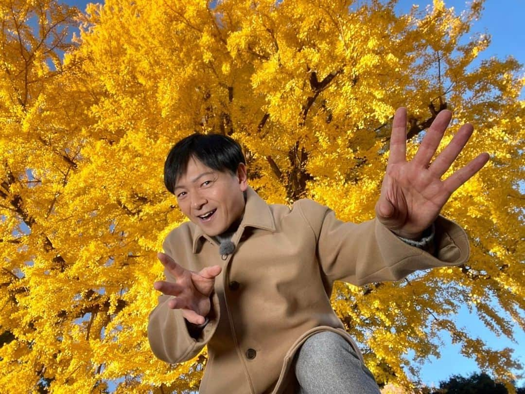 依田司さんのインスタグラム写真 - (依田司Instagram)「11月30日(木) 栃木県足利市「鑁阿寺」の境内では、大イチョウの黄葉がピークを迎えています。 樹齢およそ6５0年、高さ３０ｍ、幹の太さは１０ｍもあり、県の天然記念物に登録されています。 今年は異例の暖かさで、見頃が例年より半月ほど遅かったそう。 この敷地は室町幕府の将軍家の祖にあたる、「足利氏」の邸宅があった場所。そのため、お堀や土塁があるなど、当時の武家屋敷としての面影が色濃く残る、珍しい寺院ですイチョウの葉っぱを散りばめた可愛らしい御朱印と珍しい御城印もゲットしたいですね。  #鑁阿寺 #GAP #ギャップ #依田さん #依田司 #お天気検定 #テレビ朝日 #グッドモーニング #気象予報士 #お天気キャスター #japan #japantrip #japantravel #unknownjapan #japanAdventure #japanlife #lifeinjapan #instagramjapan #instajapan #療癒 #ilovejapan #weather #weathercaster #weatherforecast」11月30日 8時36分 - tsukasa_yoda