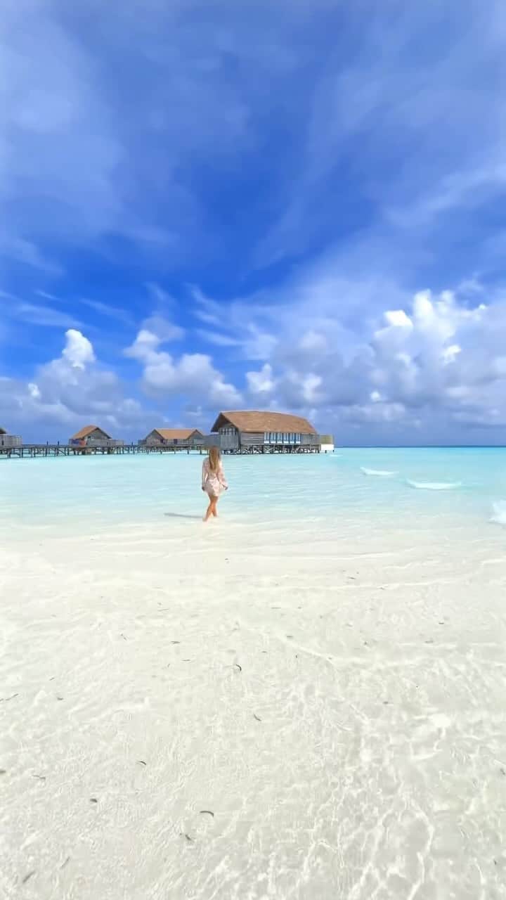 Maldivesのインスタグラム：「Maldives Islands   Connect with us @nichegetaways for holiday bookings and inquiries.   Video @vacationplaces_   #beach #beachescape #islandvibes #beachlife #wanderlust #travelinspiration #oceanviews #paradisefound #travelgoals #omaldives #nichegetaways #vacationmode #beachbliss #exploretheworld #bucketlistdestination #palmtrees #stingray #beachvacation #visitmaldives #holidayisland #tropicalvacation」