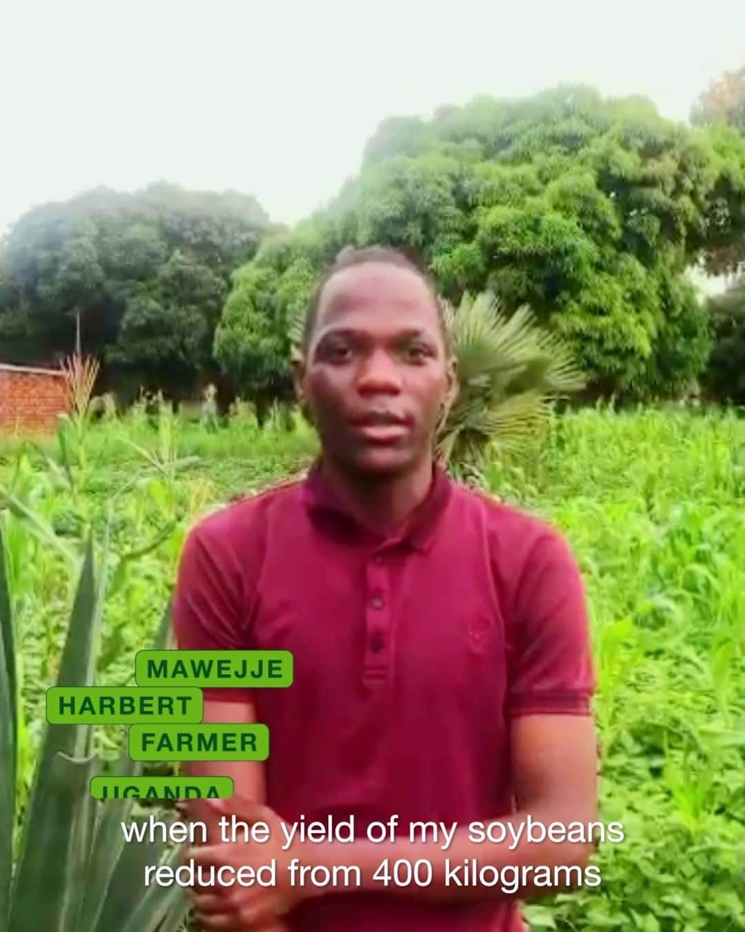 バイエルのインスタグラム：「Most of us outside of agriculture have a hard time understanding the toll losing crops takes on farmers.   It’s an emotional, economic and environmental loss that Mawejje knows too well. But he’s turning that emotion into real change and concrete action. He’s headed to #COP28, the United Nations’ Climate Conference, this week in Dubai where he’ll be able to share his experiences and ideas for strengthening our food system in the face of climate change.  #NGIN #NGINeers #agvocates #teambayer」