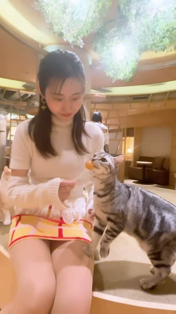 月中秋実のインスタグラム：「・ ・ 本当に 猫アレルギーになったのかな、、 ・ ・ #猫#アレルギー#猫アレルギー」