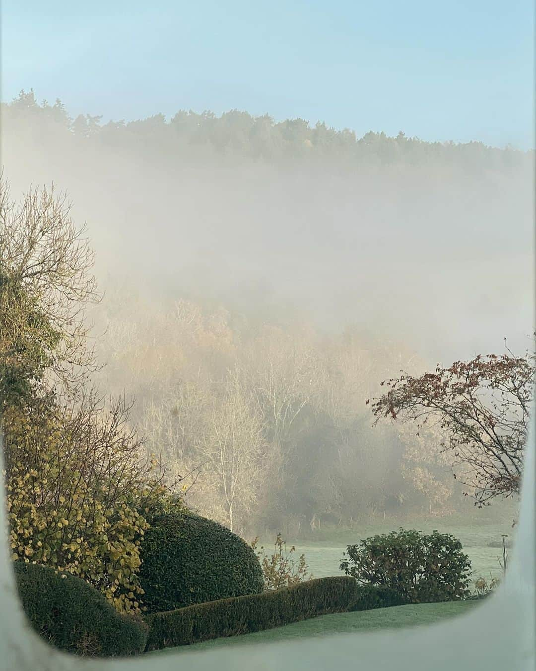 ギャランス・ドレのインスタグラム：「Life right now!  An early morning view, a brown (ish) lipstick, a perfect writing set up, a new pair of shoes, where I’ll get my next kitchen made at some point in my life and a beautiful tree on my morning walk.  All the “things” are tagged or in my link in bio 🤍」