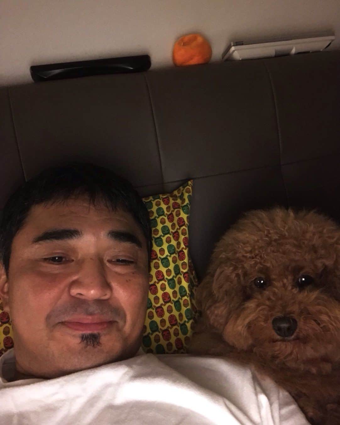 石野卓球さんのインスタグラム写真 - (石野卓球Instagram)「犬と寝る歓び」11月30日 2時16分 - takkyuishino