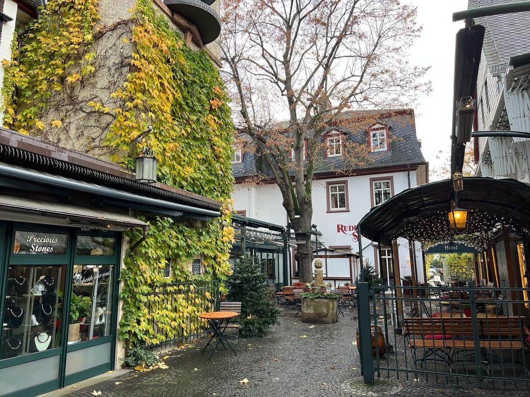 荒木優里さんのインスタグラム写真 - (荒木優里Instagram)「✈️ 🇩🇪ドイツ旅行🇩🇪 〜リューデスハイム①〜  フランクフルトから電車で1時間ちょっと🚃 「ラインの真珠」と呼ばれるライン川沿いの街、 リューデスハイムにー😆💕  ワイン酒場やお土産屋さんが並ぶつぐみ横丁は ノスタルジックな雰囲気でかわいい小道☺️  窓ガラスがない開放的なロープウェイは 風が気持ちがいい〜🚡 夏場はブドウ畑の緑も加わって 更に美しかったんだろうな😳🍇  ライン川と街並みを見渡せる高台からの眺めは 絶景でした🥰❤️  #thanksgivingtrip #ドイツ旅行 #germany  #リューデスハイム  #rüdesheim  #アメリカ生活 #アメリカ暮らし #ニューヨーク #ニューヨーク生活  #ニューヨーク暮らし #ニューヨーク在住 #Newyork #NYC #NY #アメリカ在住日本人 #帯同妻 #渡米記録 #海外生活 #travel #trip #旅行好き #アナウンサー #フリーアナウンサー #荒木優里 #荒木優里のゆるりアメリカ生活」11月30日 2時12分 - yuriaraki0726