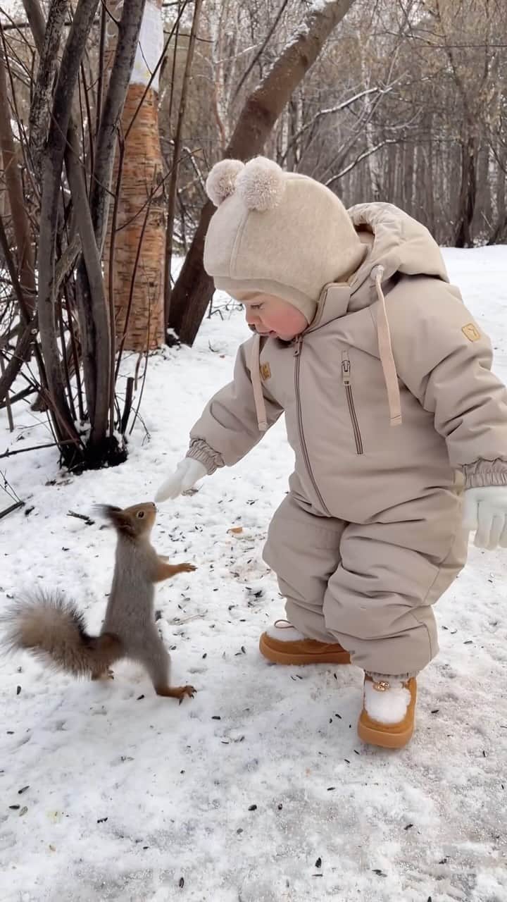Earth Picsのインスタグラム：「@julitimer 🐿️🤎this is the cutest video you’ll see all week!   🎥 @julitimer」