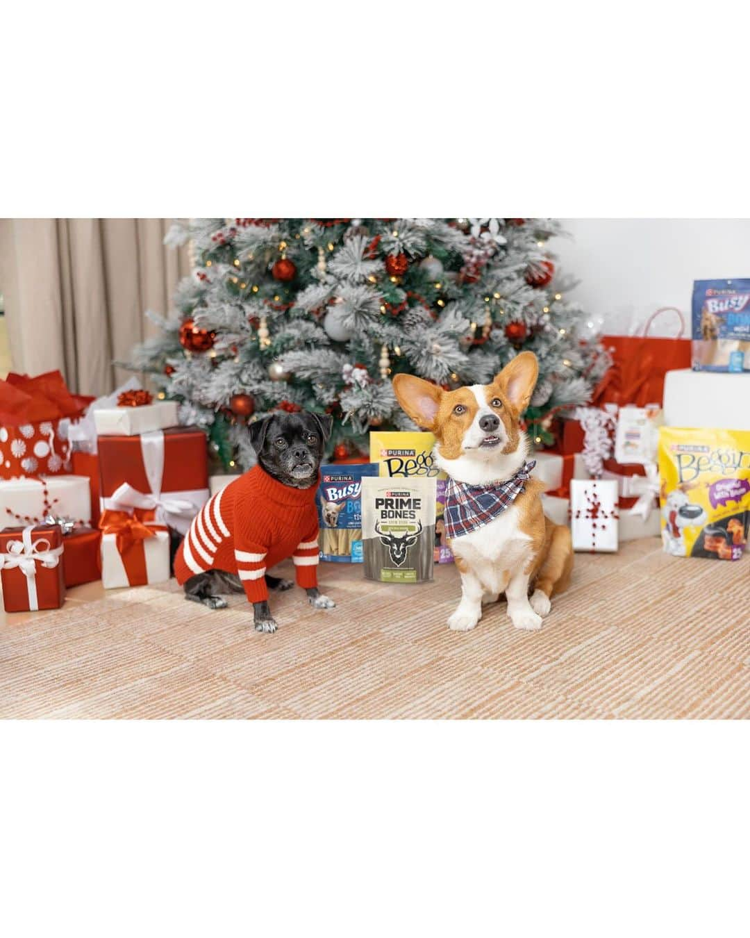 ヒラリー・ダフさんのインスタグラム写真 - (ヒラリー・ダフInstagram)「Happy Purina Pawlidays! 🎄🎁  #ad Momo and Ham have been sniffing around the tree lately trying to find their prezzies from @purina Treats! Shopping for them was so easy this year thanks to @target having everything I needed.  Don’t forget to snag your dog and cat treats on your next Target run and shower your furry friends with extra love this pawliday season ❤️  #PurinaTreatsPartner #TargetStyle #PurinaPawlidays」11月30日 3時00分 - hilaryduff