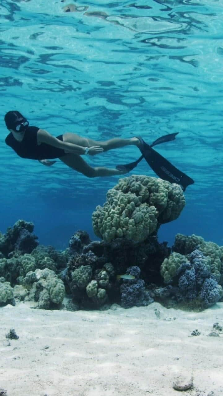 マリア・マニュエルのインスタグラム：「Lost in the magic of the ocean. Like most things in nature, the longer I spend observing, the more I am mesmerized. Being in the water brings me to a flow state and where I am the most “in the moment”. Here’s a favorite memory of mine in the glistening underwater realm of the South Pacific with @breitling #superoceanautomatic - made for moments like these.  #breitling #squadonamission #ad shot by @morganmaassen」