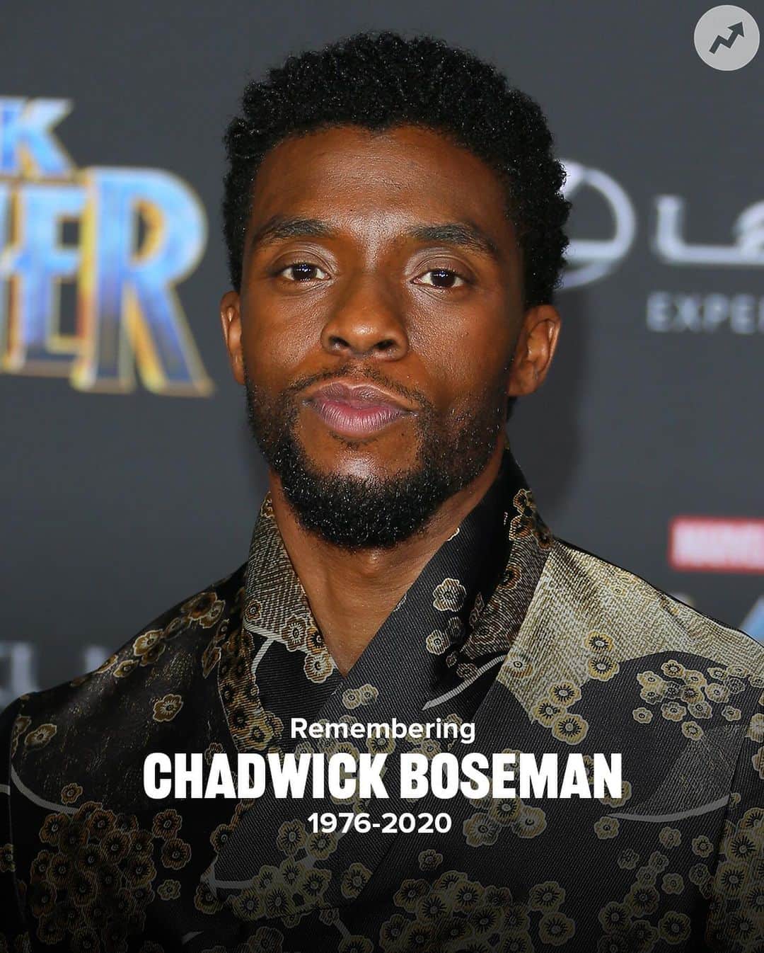 BuzzFeedのインスタグラム：「Happy Birthday to the late Chadwick Boseman. We miss you and love you dearly 🤍 #WakandaForever」