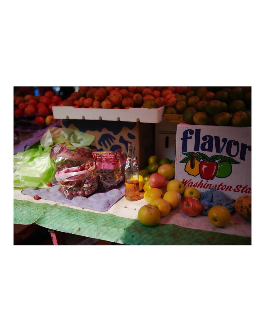 青葉市子さんのインスタグラム写真 - (青葉市子Instagram)「29,30 Sep-01 Oct 2023 Mexico City 🇲🇽  ショーの前に市場へ立ち寄る。 CALLE JAMES SULLIVANのあたりに連なる赤いビニールの屋根。 この日はまっすぐに歩けないほど大賑わいだった。  サボテンやトマトをはじめとした新鮮な野菜や果物、ハーブ、豆や肉、様々な食品が並ぶ。 メキシコペソを握りしめて、piloncillo(ピロンシジョ)と呼ばれる黒糖を二粒と、ホーリーバジル、パプリカを購入した。 カラフルなコームや骨董品が並ぶエリアでは、貝の装飾のピルケースと蒼い琺瑯のマグカップもお迎え。 ピルケースは2cm×2cmほどの、手のひらに包まれるほど華奢で小さなもの。 今日も鞄の中に連れ添っている宝物。  市場では様々な暮らしや営みが垣間見えた。 食材のあるところに、人々は集まる。 其々の家庭、生き様、植生、食物が育ち、ここへ集まってくるまでの天候、土壌。想像する。  店番をしている両親の足もとで眠っている子ども。  無造作にカットされたスイカやココナッツが地面に積み上げられ、蝿や蜂たちが集まっている。 黙々と包丁を振り下ろす肉屋の店主。 風に転がるビビッドなブーゲンビリア。鳥の声。  楽屋でお湯を沸かして、香り高いホーリーバジルをぷちりと水筒に落とし、ハーブティーを淹れた。 胃がすーっと軽やかになる。  📷 @tengoyola   .」11月30日 3時47分 - ichikoaoba