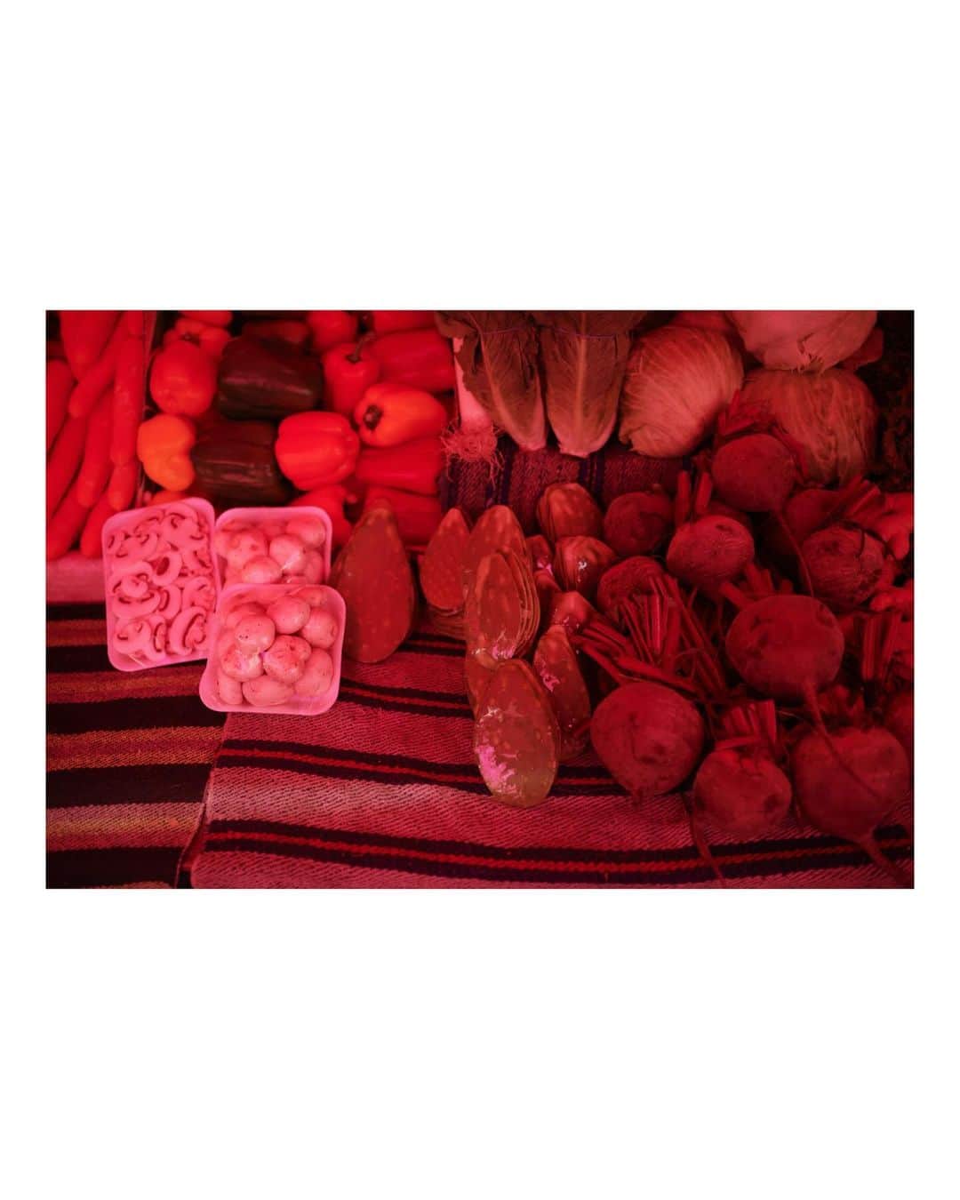 青葉市子さんのインスタグラム写真 - (青葉市子Instagram)「29,30 Sep-01 Oct 2023 Mexico City 🇲🇽  ショーの前に市場へ立ち寄る。 CALLE JAMES SULLIVANのあたりに連なる赤いビニールの屋根。 この日はまっすぐに歩けないほど大賑わいだった。  サボテンやトマトをはじめとした新鮮な野菜や果物、ハーブ、豆や肉、様々な食品が並ぶ。 メキシコペソを握りしめて、piloncillo(ピロンシジョ)と呼ばれる黒糖を二粒と、ホーリーバジル、パプリカを購入した。 カラフルなコームや骨董品が並ぶエリアでは、貝の装飾のピルケースと蒼い琺瑯のマグカップもお迎え。 ピルケースは2cm×2cmほどの、手のひらに包まれるほど華奢で小さなもの。 今日も鞄の中に連れ添っている宝物。  市場では様々な暮らしや営みが垣間見えた。 食材のあるところに、人々は集まる。 其々の家庭、生き様、植生、食物が育ち、ここへ集まってくるまでの天候、土壌。想像する。  店番をしている両親の足もとで眠っている子ども。  無造作にカットされたスイカやココナッツが地面に積み上げられ、蝿や蜂たちが集まっている。 黙々と包丁を振り下ろす肉屋の店主。 風に転がるビビッドなブーゲンビリア。鳥の声。  楽屋でお湯を沸かして、香り高いホーリーバジルをぷちりと水筒に落とし、ハーブティーを淹れた。 胃がすーっと軽やかになる。  📷 @tengoyola   .」11月30日 3時47分 - ichikoaoba