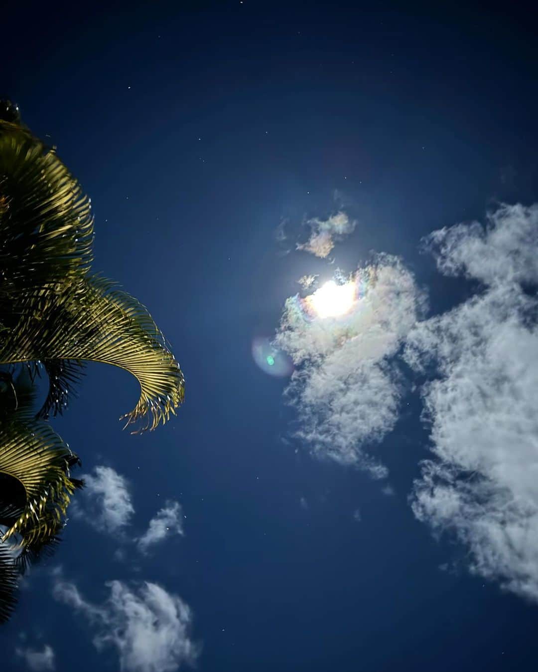 エビアン・クーさんのインスタグラム写真 - (エビアン・クーInstagram)「Who cares even if  it’s raining ☔️ and it’s 🌝 雨の日は植物と木がハッピーになる 夜の雨の音が本当に癒されるね ハワイはずっと今週雨みたい。  お月さんも今日で満月らしいよ チェックしてみて」11月30日 9時23分 - avian_official