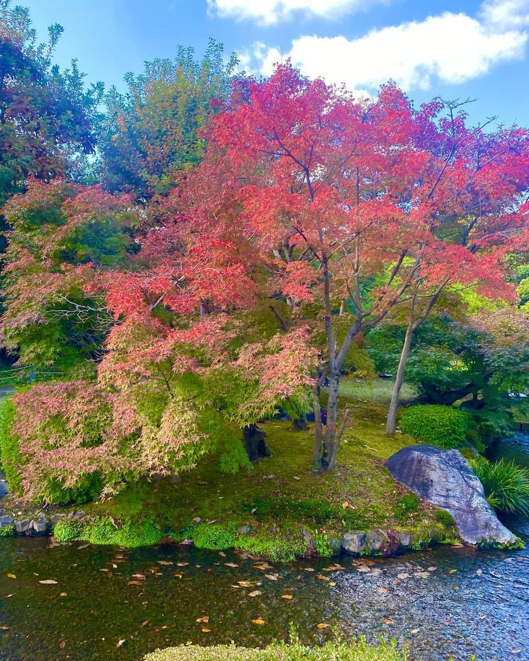 LEONAさんのインスタグラム写真 - (LEONAInstagram)「#姫路 #好古園 #紅葉」11月30日 4時02分 - leona_partyon