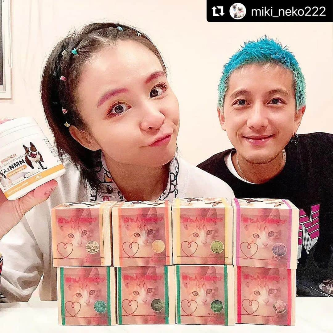 misoNosukeさんのインスタグラム写真 - (misoNosukeInstagram)「. . お風呂場に置いているだけで めちゃくちゃ良い香りがして最高♡  ↓  #Repost @miki_neko222 with @use.repost  【良縁🎀入浴剤】  misonoさん＆Nosukeさんが 譲渡会やイベント等に 足を運んで下さった日は毎回  「ご家族＆ご友人にもお贈りしたいから」と つかねこのチャリティーグッズを まとめ買いしてくださいます🥺  この入浴剤は スマイルワンッ！の田口さんに 「保護猫の支援品に」と頂きました♡  売上は保護犬猫支援に使います！ いつも応援＆ご協力ありがとうございます😭  @smile___wan2022 @misono_koda_official @nosukedrummer @tsukaneko222」11月30日 4時29分 - misono_koda_official