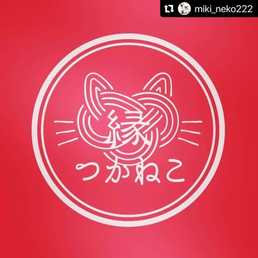 misoNosukeさんのインスタグラム写真 - (misoNosukeInstagram)「. . お風呂場に置いているだけで めちゃくちゃ良い香りがして最高♡  ↓  #Repost @miki_neko222 with @use.repost  【良縁🎀入浴剤】  misonoさん＆Nosukeさんが 譲渡会やイベント等に 足を運んで下さった日は毎回  「ご家族＆ご友人にもお贈りしたいから」と つかねこのチャリティーグッズを まとめ買いしてくださいます🥺  この入浴剤は スマイルワンッ！の田口さんに 「保護猫の支援品に」と頂きました♡  売上は保護犬猫支援に使います！ いつも応援＆ご協力ありがとうございます😭  @smile___wan2022 @misono_koda_official @nosukedrummer @tsukaneko222」11月30日 4時29分 - misono_koda_official