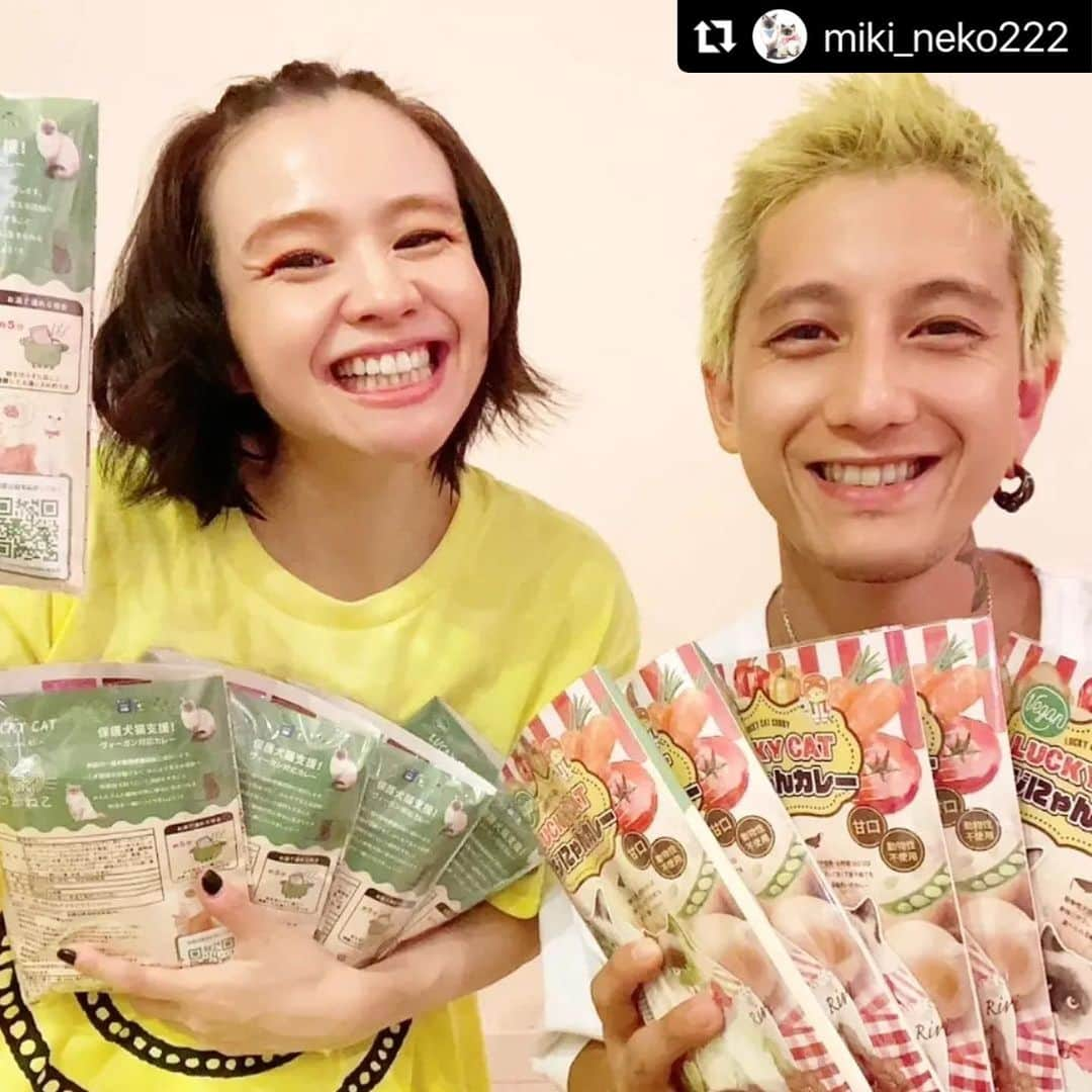 misoNosukeさんのインスタグラム写真 - (misoNosukeInstagram)「. . Veganのカレーだから凄く喜ばれて 自分まで嬉しくなります♡  ↓  #Repost @miki_neko222 with @use.repost  【LUCKY CAT🎀べじにゃんカレー】  misonoさん＆Nosukeさんが 譲渡会やイベント等に 足を運んで下さった日は毎回  「ご家族＆ご友人にもお贈りしたいから」と つかねこのチャリティーグッズを まとめ買いしてくださいます🥺  べじにゃんカレーは もうすでに30個以上も購入して下さってて 保護犬猫の啓発を兼ねて  色んな方にプレゼントして下さってます♥️ いつもありがとうございます！😍💗🌟 売上は保護犬猫支援に使います！  @tsukaneko222 @misono_koda_official  @nosukedrummer」11月30日 4時34分 - misono_koda_official