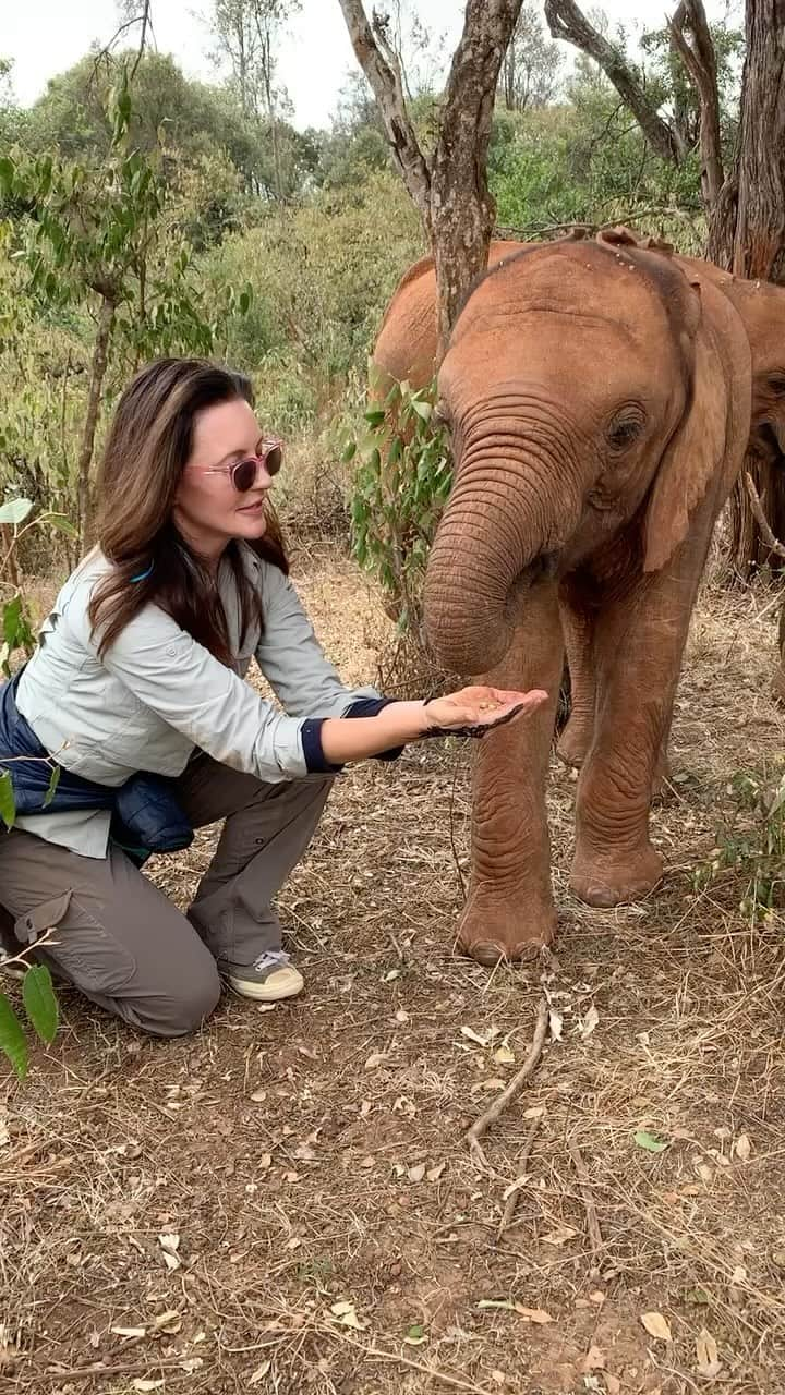 クリスティン・デイヴィスのインスタグラム：「Throwback to hanging with my elephant friends at the @sheldricktrust 🤍🐘 One of my favorite places!」