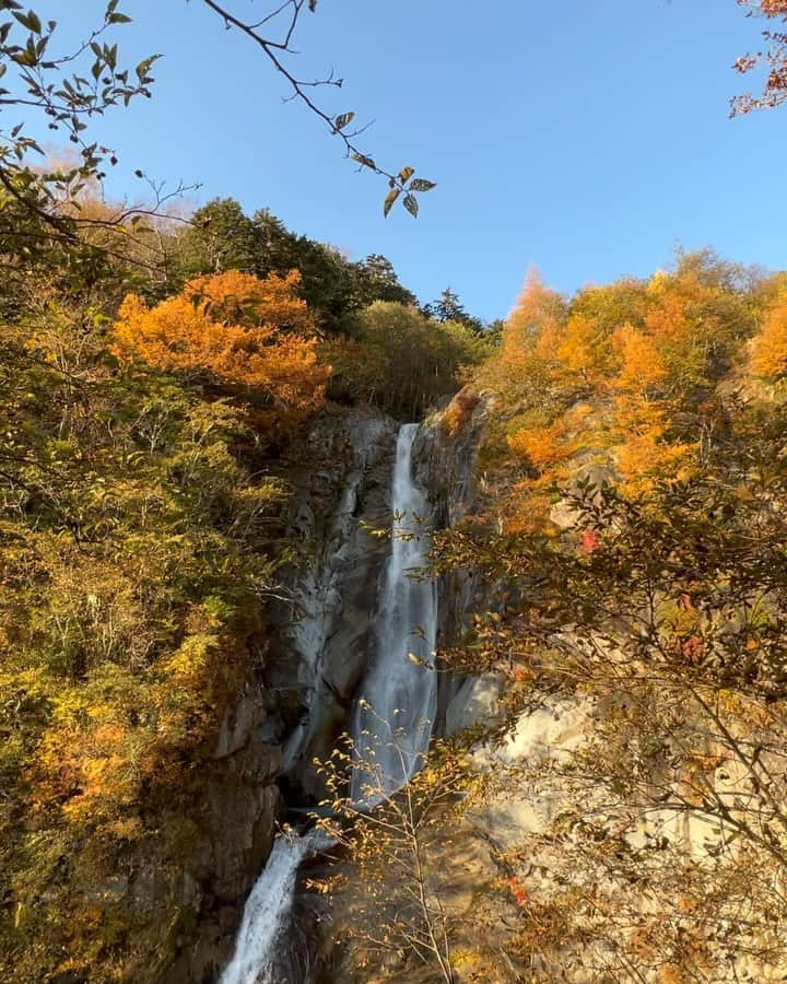 深沢邦之のインスタグラム