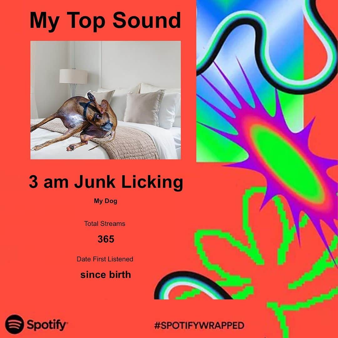 BarkBoxさんのインスタグラム写真 - (BarkBoxInstagram)「it’s white noise to me at this point 🥰pls use the template to show us what ur “top sound” would be 👀   #spotify #spotifywrapped」11月30日 9時00分 - barkbox