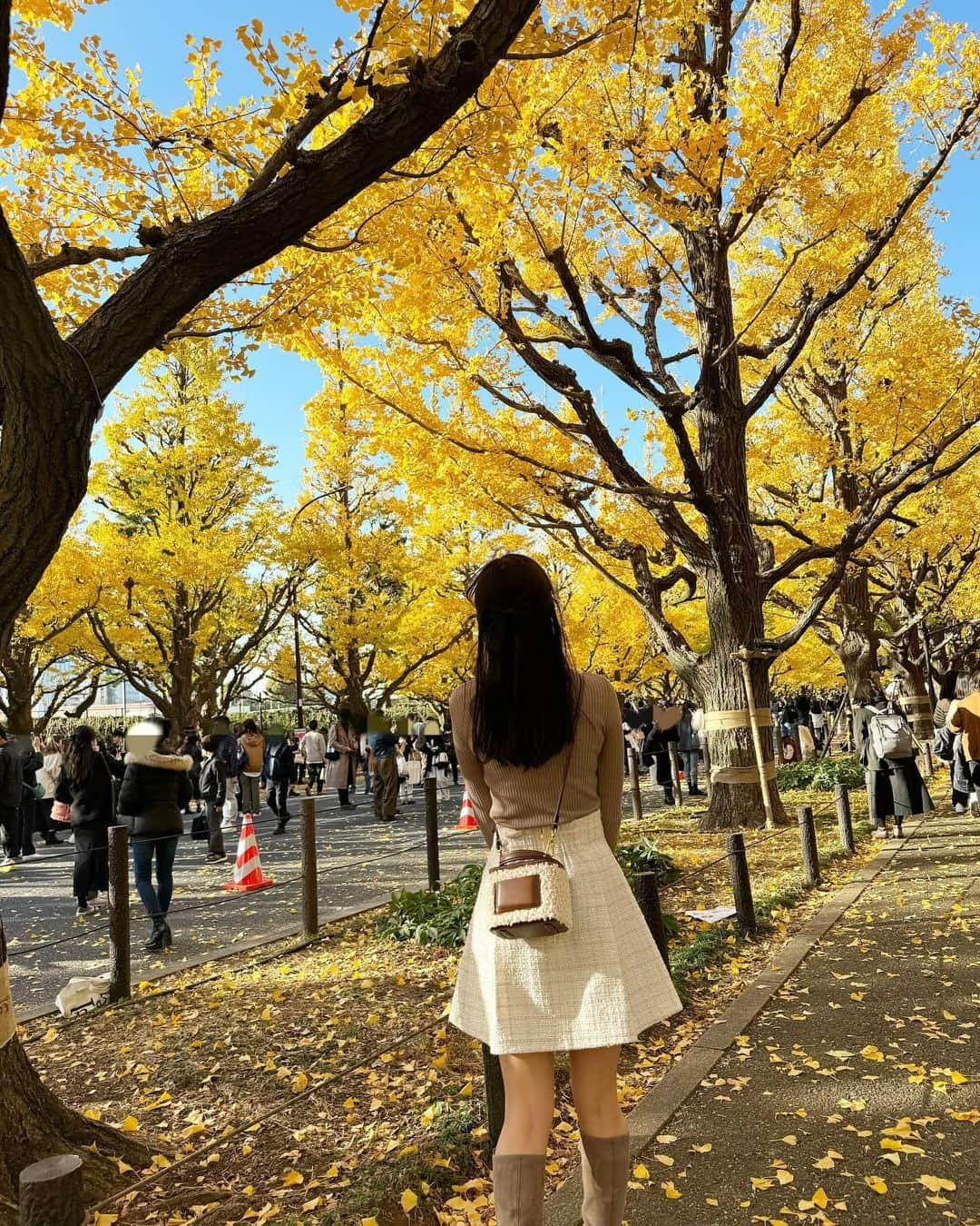 飯野雅さんのインスタグラム写真 - (飯野雅Instagram)「紅葉2023🍁」11月30日 18時33分 - biichan_