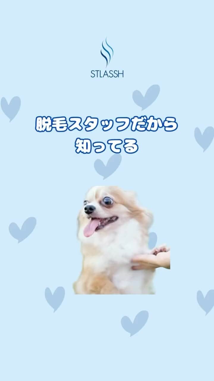 ストラッシュのインスタグラム：「自己処理って面倒ですよね、、🐕 是非チェックしてみてください✅」