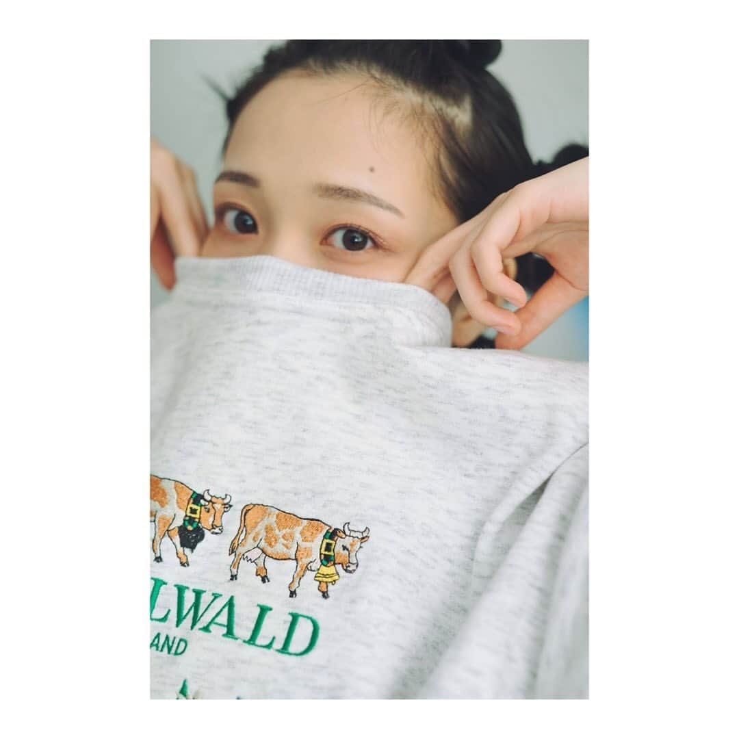 秋谷百音さんのインスタグラム写真 - (秋谷百音Instagram)「11月ラスト🐄🤍💚  誕生月でもあり、映画も公開もあり、 たくさんの方の力と温かさを感じました。 今月もありがとうございました💚  一気に寒くなりました。 お身体お気をつけてお過ごしくださいね🌷  📸 @kenta.koishi  💄 @maki_hairmake_  👕 @ange_20191001  可愛い牛トレーナーに牛さんヘアです🐮💚 陽射しが差し込むスタジオで、 楽しすぎる撮影でした🌟  #11月 #november #ありがとう #thankyou  #作品撮り #portrait #photo #photography #ポートレート  #リラックス #relax #chill #chillvibes #goodvibes #トレーナー #木漏れ日 #🐄 #🐮 #💚🤍」11月30日 18時15分 - lespros_mone