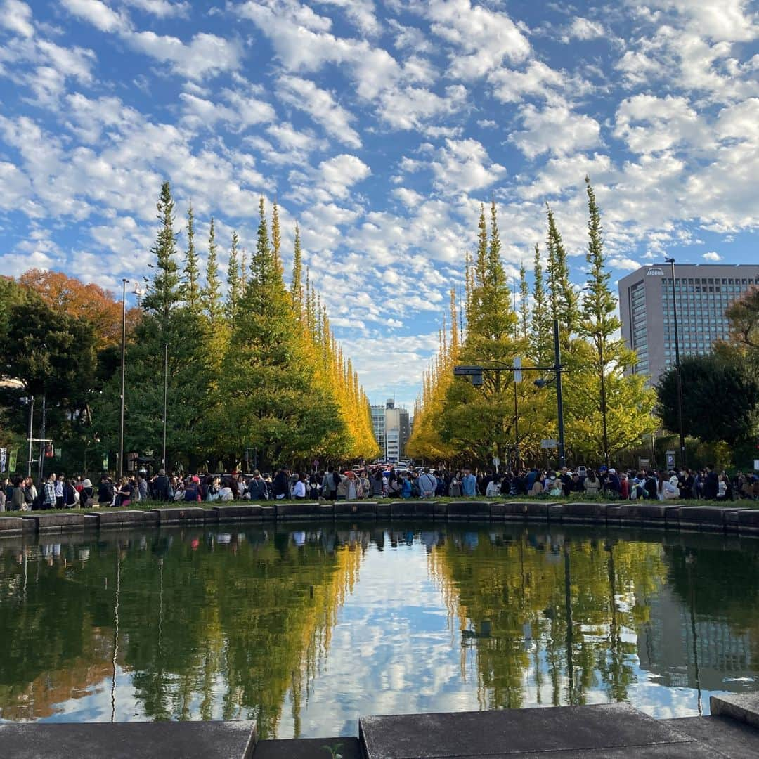 The Japan Timesさんのインスタグラム写真 - (The Japan TimesInstagram)「Watching firework displays has long been a quintessential summer experience in Japan, with relatively cooler evenings offering a moment’s respite from the unrelenting daytime heat.  But fireworks festivals are becoming more common in October in order to avoid Japan’s increasingly uncomfortable summers. Not only that, it’s now common to fight off surprisingly active mosquitoes in November. And in more and more fall foliage viewing spots across the country, people must wait until late-November or even December to see brilliant hues of red emerge on maple leaves.  Global warming is making summers start earlier and last longer, squeezing the spring and fall periods, disrupting the nation’s autumn and seasonal experiences, and with it the rhythm of people’s lives.  The impact of autumn's fade is huge. Hordes of businesses rely on seasonal demand, be it beer companies with autumn specials or operators of viewing tours to see colorful leaves. And for haiku poets, the disappearance of a season is an existential threat.  Read the full story with the link in our bio.  📸 Tomoko Otake and Tom Hanaway  #japan #tokyo #weather #fall #autumn #japantimes #日本 #東京 #秋 #季節 #自然 #紅葉 #イチョウ #ニュース #ジャパンタイムズ #🍁」11月30日 17時17分 - thejapantimes