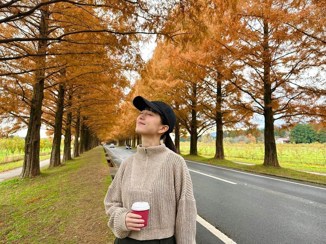 神野友亜さんのインスタグラム写真 - (神野友亜Instagram)「🍁🍊🦊🧶🍂  #メタセコイア並木」11月30日 17時09分 - yua_sard