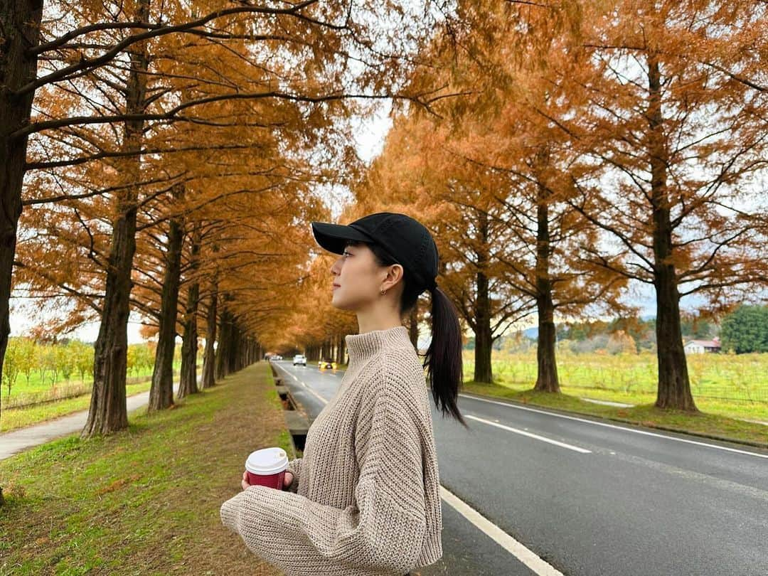 神野友亜のインスタグラム：「🍁🍊🦊🧶🍂  #メタセコイア並木」