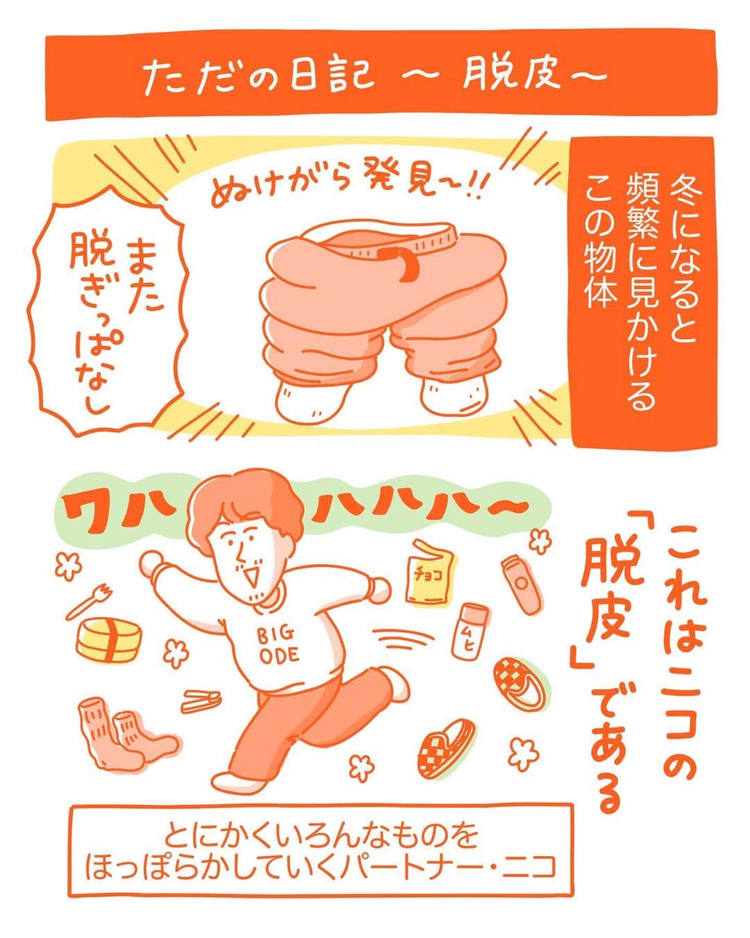 澤村 花菜のインスタグラム：「実物の写真載せてニコかわいそう！て思うでしょ？そこも最初はイラストだったの。でも「写真にした方が面白いよだはははは🤣」て本人が言うから、写真にした次第です😂😂😂  #ニコはとんちんかん  #イラスト #日常漫画 #絵日記 #漫画日記」