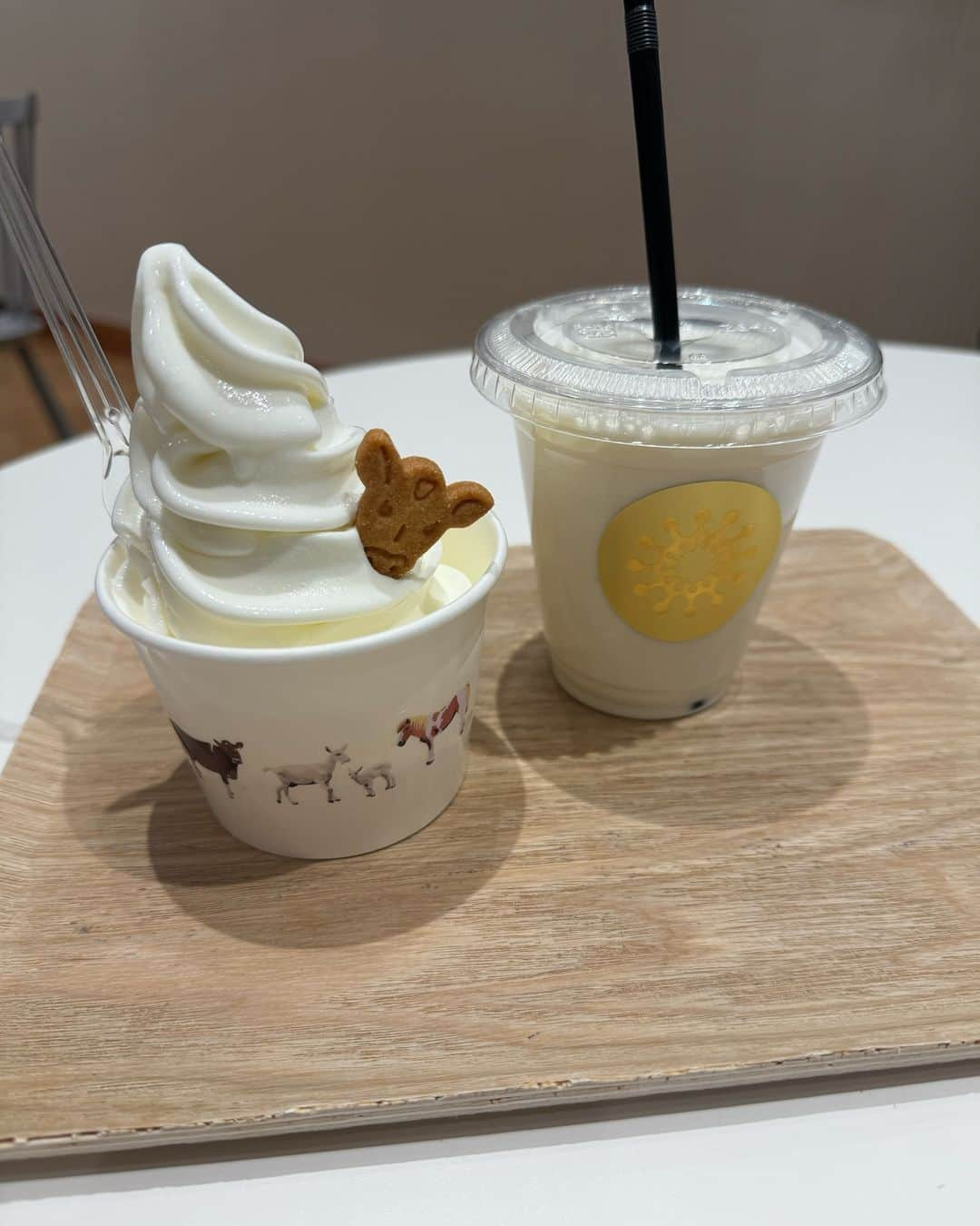 小林麻耶さんのインスタグラム写真 - (小林麻耶Instagram)「🍨and🥛　新潟伊勢丹地下一階にある✨加勢牧場さん✨のガンジー牛乳＆ガンジーソフトクリーム❤️ 本店は長岡市黒坂「いやしの郷」にあります🤗  ガンジー牛乳は希少性、栄養価、味から✨ゴールデンミルク✨ 貴族の牛乳✨と称されてきたそうです🥛 こくがあって、後味スッキリ、美味しい😋ですっ！！  新潟の美味しいお水🩵を飲んでいる加勢牧場さん愛いっぱいの牛乳やソフトクリームなど✨おすすめです🥰  #加勢牧場　 #新潟伊勢丹  @niigata_isetan  #新潟駅から徒歩9分」11月30日 17時31分 - maya712star9