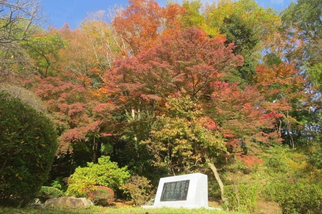 Soka Universityのインスタグラム：「📸 Campus Seasonal Photos🍁  2023年11月15日は生涯忘れられない日となりました。開学以来、創立者には幾度となくキャンパスに足を運んで頂き、学生を始め教職員、通教生や卒業生、保護者にも限りない励ましを送って頂きました。四季折々のキャンパスで刻んだ創立者との掛け替えのない思い出が次々とよみがえる卒業生もあまたいることでしょう。小春日和の日差しが降り注ぐ「平安の庭」に一期生が残した「草創の誓」の碑文があります。「一、我ら一期生は創立の師池田先生の掲げられた建学の精神を我が生命に刻み、その構想実現に生涯を賭して戦ってまいります。一、我ら一期生は草創の同志として互いに尊敬し鍛錬し合い友情の絆も固く共に団結して進んでまいります。一、我ら一期生はあらゆる立場で世界平和推進の原点である創価大学を断じて死守し発展させてまいります。以上、三箇条を我ら一期生は逡巡することなく自己自身を裏切ることなく生涯かけて実践していくことをここに誓います。」この碑文に込められた誓いは、一期生だけのものではありません。創立者の精神は陸続と続く創大生、短大生の胸中に確かに刻まれ、永遠に揺るぎなく受け継がれていきます。  #discoversoka #sodaigram #sodaipictures #sokauniversity #創価大学 #hachioji #八王子 #tokyo #東京 #campus #キャンパス #university #大学 #students #学生 #nature #自然 #fourseasons #四季 #environment #環境」