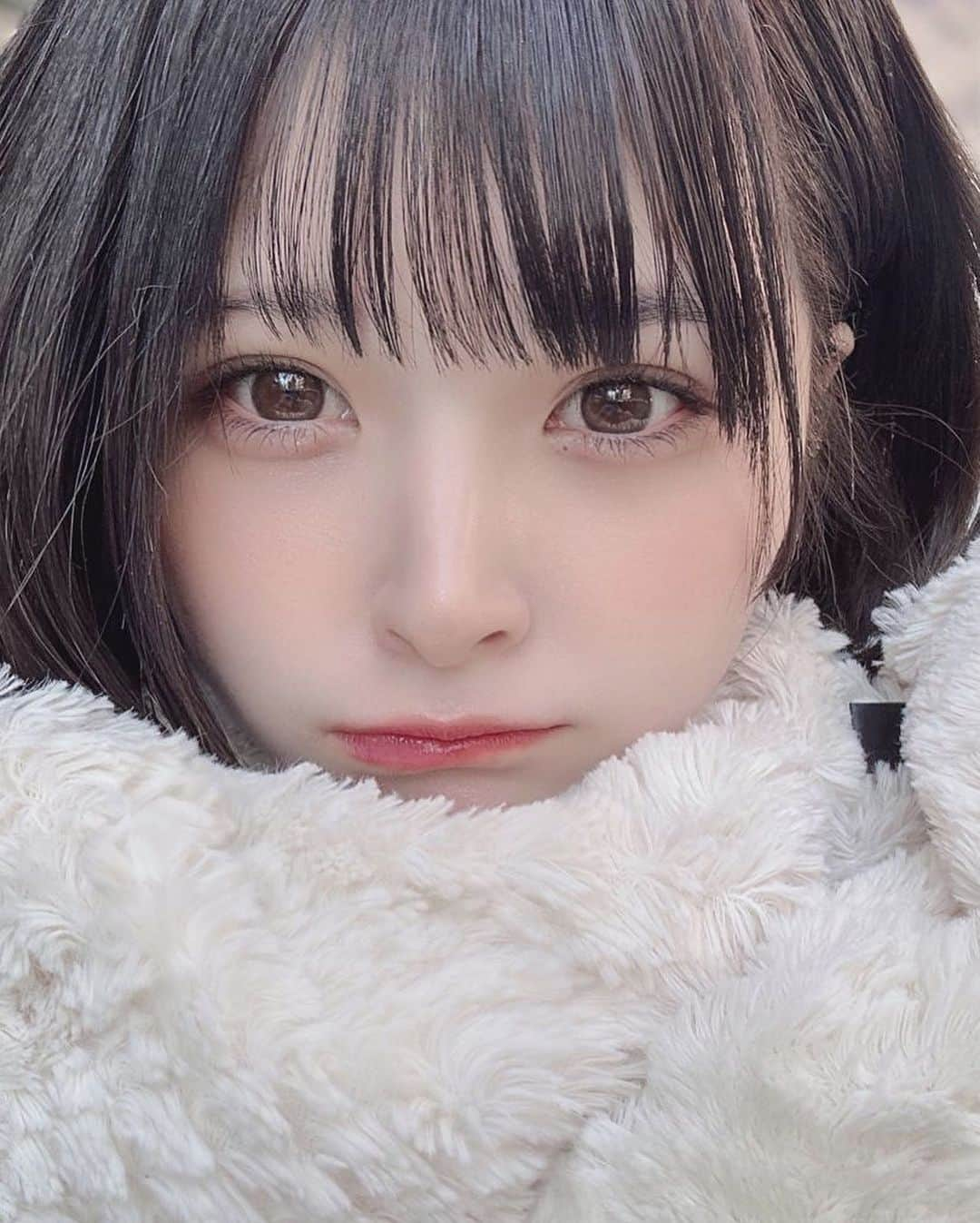 ひっそりゆうみさんのインスタグラム写真 - (ひっそりゆうみInstagram)「.  少し体調崩しちゃって ひたすらお布団の中で過ごす1日を 過ごしたのですが  色んな過去の自撮り見てて、結局みんな どんなひっそりが好きなのかな って悩んでしまった。  どんな髪色のひっそりが好き❔🐶」11月30日 17時48分 - mer_calme25