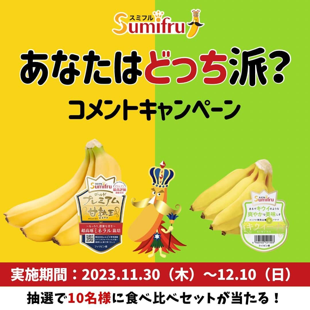 Sumifruのインスタグラム：「コメントして『甘熟王ゴールドプレミアム＆キウイーナの食べ比べセット』を当てよう🎁  ✨あなたはどっち派？コメントキャンペーン✨  スミフルのおすすめバナナ2種のうち、どちらを食べてみたいかをコメントしてくださいね💭  対象のバナナはこちら⏬ ・甘熟王を超えた、もっちり濃蜜な甘さが特徴の 【甘熟王ゴールドプレミアム👑】  ・まるでキウイのような、爽やかな甘さが特徴の 【キウイーナ🥝】  みなさんはどっちのバナナが食べてみたいですか？😋 本投稿のコメント欄に書いて教えてください💭  応募していただいた方の中から抽選で合計10名様に 『甘熟王ゴールドプレミアム＆キウイーナの食べ比べセット』をプレゼント🎁  参加方法🔰 ① ＠sumifru_banana をフォロー ②あなたはどっち派？かこの投稿のコメント欄にコメント ※このキャンペーンはフォロワーさん限定のキャンペーンとなっております。 フォローがまだの方は、ぜひこのアカウントをフォローして参加してみてくださいね✨  ※SNSキャンペーン応募規約は下記をご確認ください↓ https://sumifru.co.jp/information/08/  みなさんがどっち派かとっても気になります👀 ぜひご参加くださいね🎵  #キャンペーン #甘熟王 #甘熟王ゴールドプレミアム #キウイーナ #バナナ #バナナレシピ #時短レシピ #簡単レシピ #子どものおやつ #食べスタグラム #スミフル #コメントキャンペーン #フルーツ #朝食」