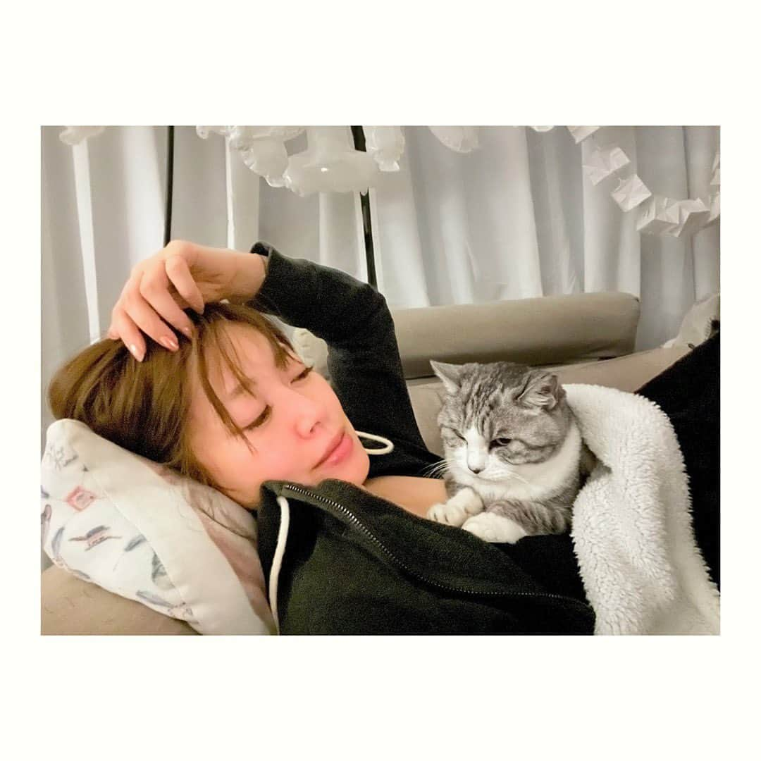 坂本美雨のインスタグラム：「真夜中のふたり  #cat #サバ美」