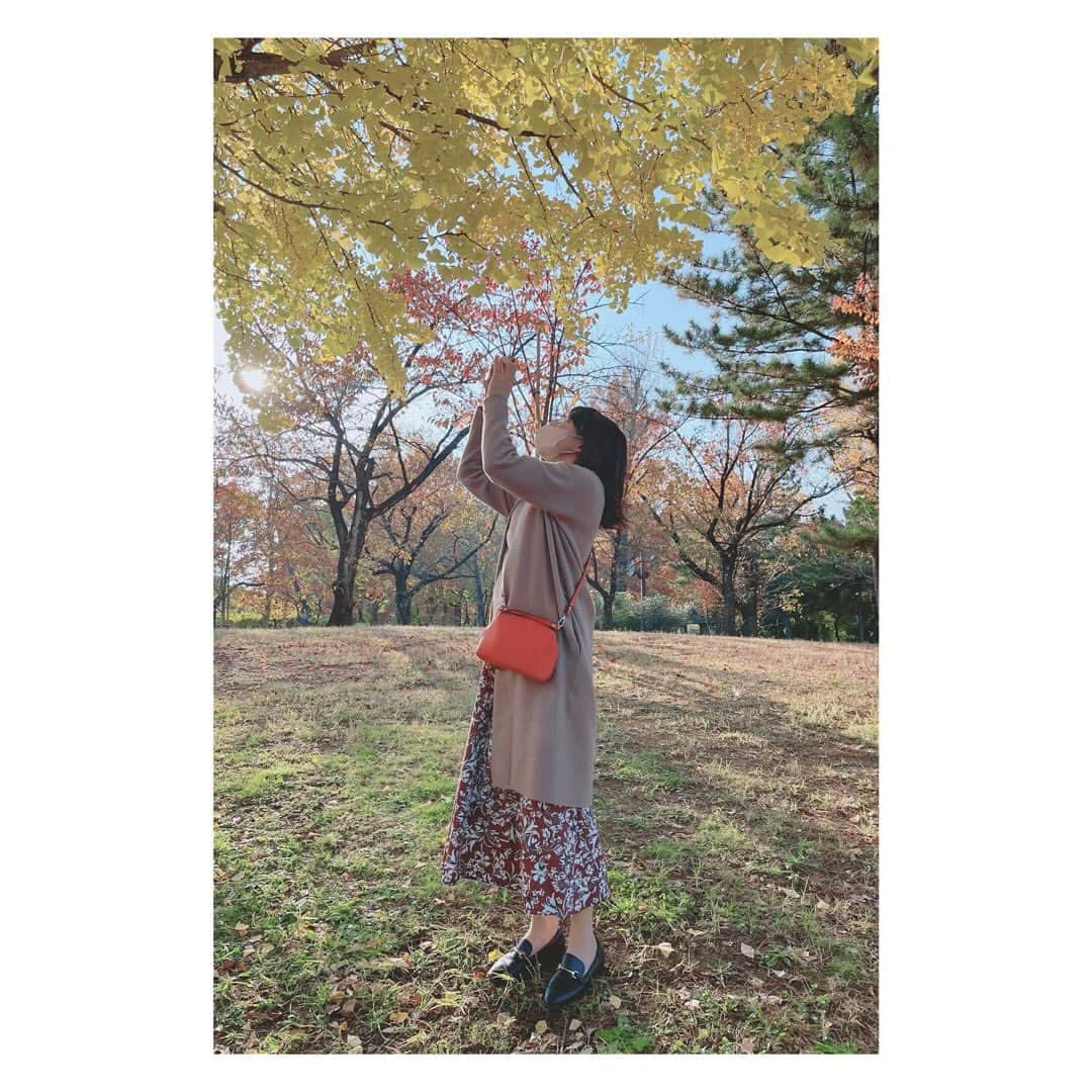 大久保涼香さんのインスタグラム写真 - (大久保涼香Instagram)「⁡ * * * 紅葉は今が見頃🍁  11月もおわりかぁ。 ⁡ ************************** #autumnleaves #autumn #winterhascome #mapleleaves #lastdayofnovember #紅葉 #紅葉 #綺麗 #青空に映える #晩秋 #もう冬 #フリーアナウンサー」11月30日 18時11分 - sayaka_okubo