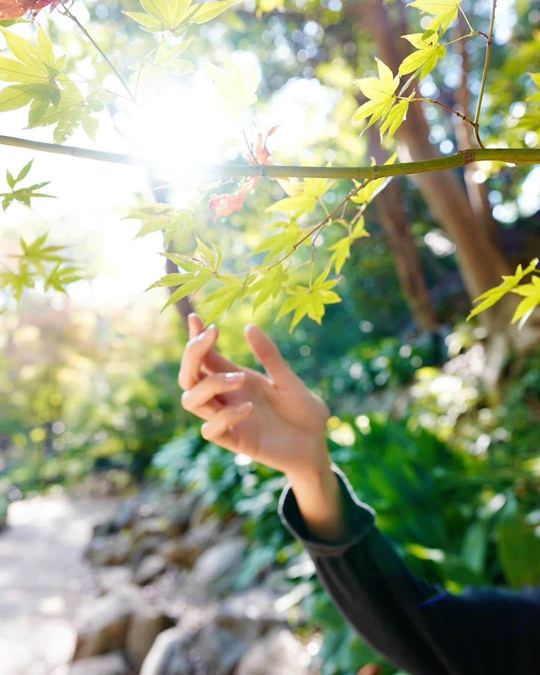 足立玲菜のインスタグラム：「まだ紅葉してなかった芝公園周辺。 2023.11.22  そろそろしてるのかな？  . . .  #shooting #カメラ #紅葉スポット #紅葉 #手 #finger #tokyo」