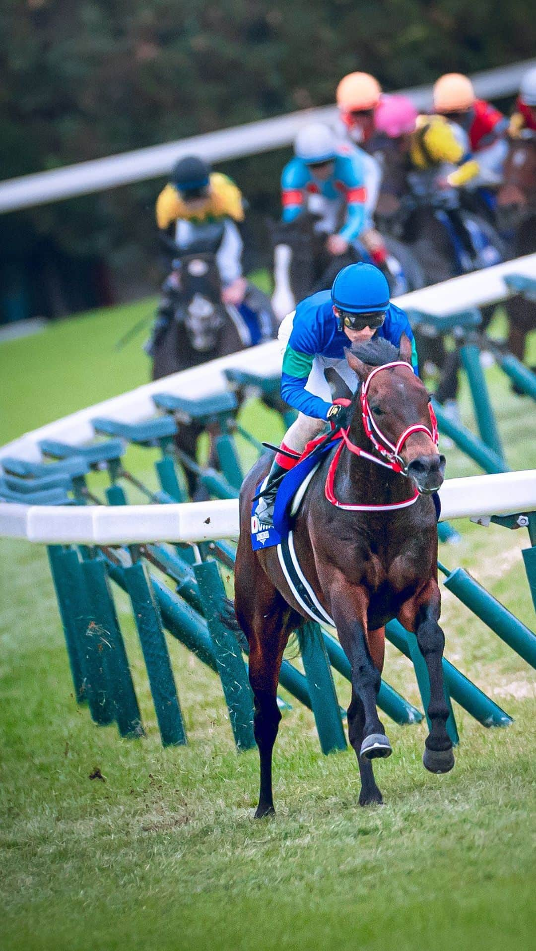 クリストフ・ルメールのインスタグラム：「The 2022 Tenno Sho (Autumn) vs the 2023 Japan Cup 🇯🇵  Same beginning, different middle, same conclusion... 🎶  #パンサラッサ | #イクイノックス | #天皇賞 | #ジャパンカップ | #競馬」