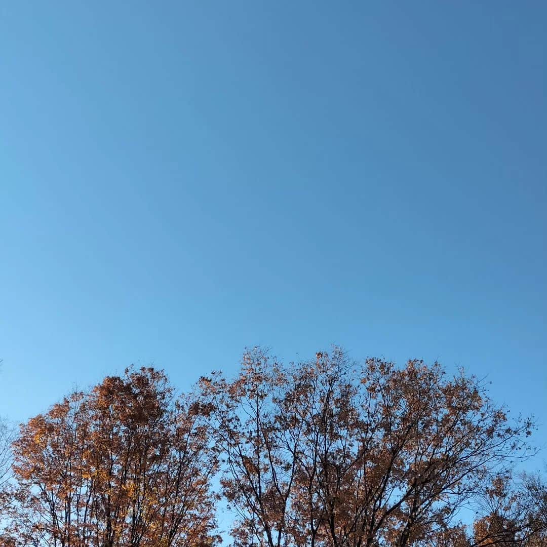 千種ゆり子のインスタグラム：「秋晴れ？冬晴れ？だね！明日から12月〜 . . . #気象予報士の空コレクション」