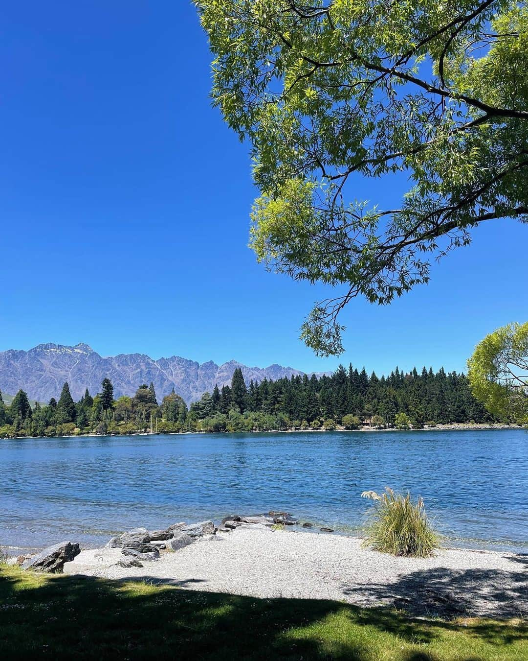 ティナ・ルイーズさんのインスタグラム写真 - (ティナ・ルイーズInstagram)「Everything so green and picturesque 🇳🇿❤️ #queenstown #newzealand」11月30日 11時04分 - tinalouise