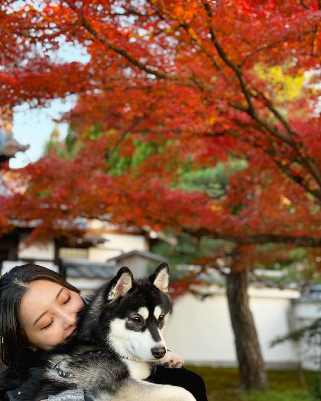 大石絵理さんのインスタグラム写真 - (大石絵理Instagram)「Autumn colours 🍁🍁」11月30日 11時05分 - erioishitokyo