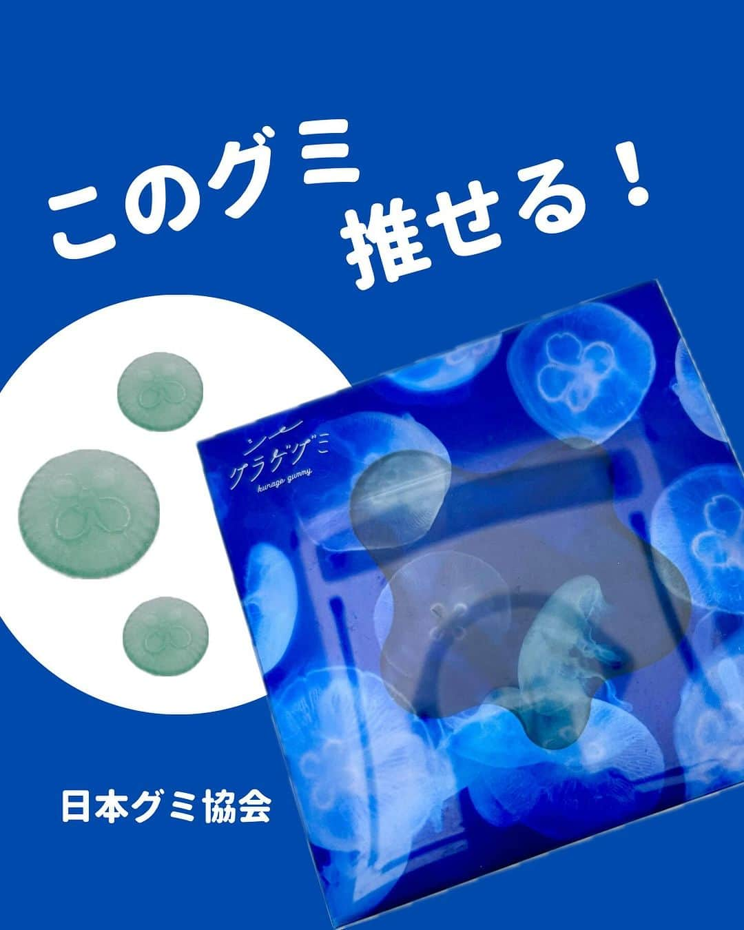 日本グミ協会のインスタグラム：「@gummy_japan ←他のグミ情報はこちらから！  日本グミ協会公式レビュー！  #シークラゲグミ  保存しておくとお買い物に便利🙆‍♀️  グミのリクエストはコメントで待ってます！ｸﾞ٩( ᐛ )و ﾐ #日本グミ協会 を付けてグミニケーションもしてみてねｸﾞ٩( ᐛ )و ﾐ  【毎週火曜は新作グミライブ配信中📢】 →@gummy_japan  #日本グミ協会 #グミニケーション #グミ #グミ好きな人と繋がりたい #グミ好き #グミ紹介 #加茂水族館  #水族館  #クラゲ  #ミズクラゲ」